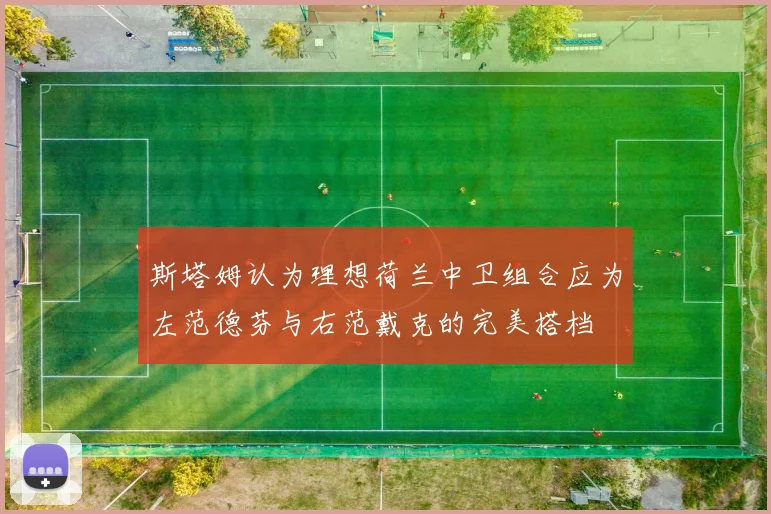 斯塔姆认为理想荷兰中卫组合应为左范德芬与右范戴克的完美搭档